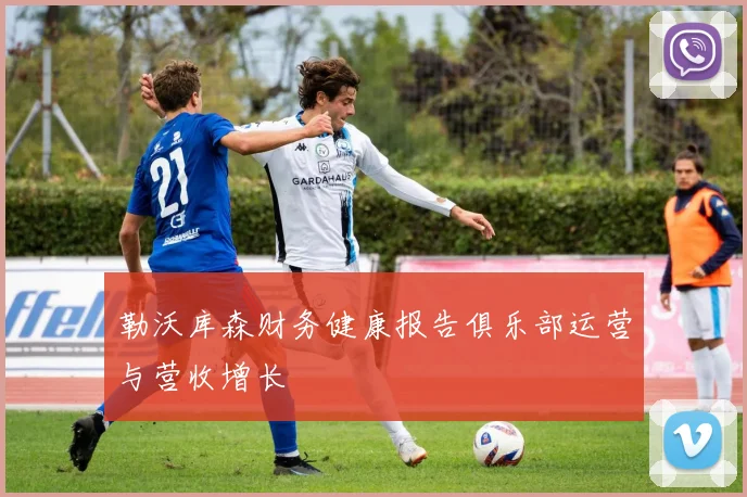 勒沃库森财务健康报告俱乐部运营与营收增长