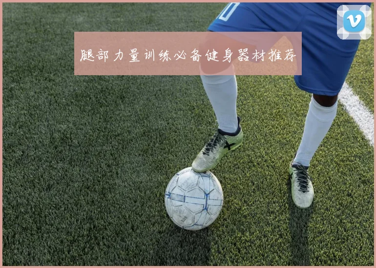 腿部力量训练必备健身器材推荐